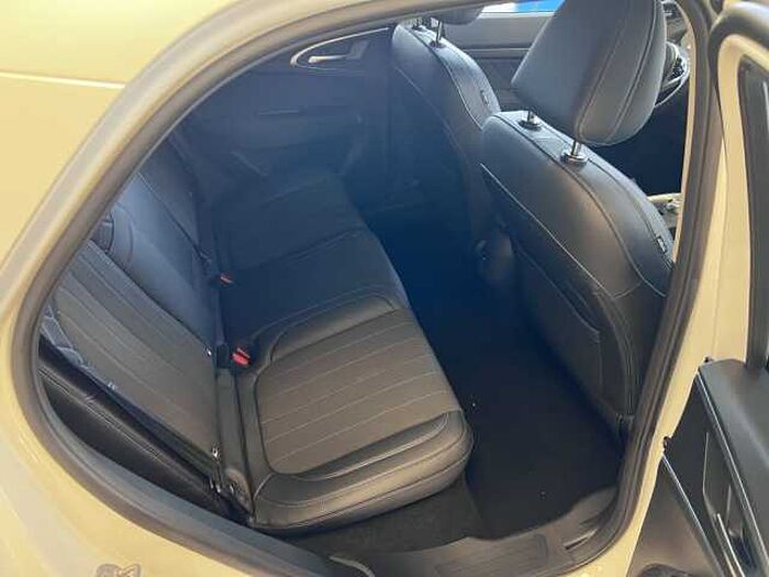 ORA Funky Cat 300 Pro